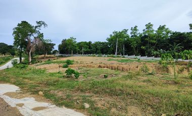 8.5M - LAKESIDE RESIDENTIAL LOT AND COMMERCIAL LOT FOR SALE - LOCATED AT BALETE , BATANGAS