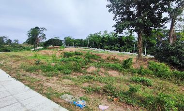 8.5M - LAKESIDE RESIDENTIAL LOT AND COMMERCIAL LOT FOR SALE - LOCATED AT BALETE , BATANGAS