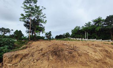 8.5M - LAKESIDE RESIDENTIAL LOT AND COMMERCIAL LOT FOR SALE - LOCATED AT BALETE , BATANGAS