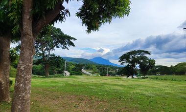 8.5M - LAKESIDE RESIDENTIAL LOT AND COMMERCIAL LOT FOR SALE - LOCATED AT BALETE , BATANGAS
