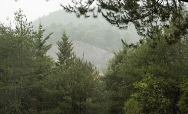 Terreno en Valle de Bravo (Acatitlán) Con Vista Al Bosque E4