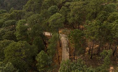 Terreno en Valle de Bravo (Acatitlán) Con Vista Al Bosque E4
