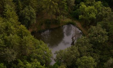 Terreno en Valle de Bravo (Acatitlán) Con Vista Al Bosque E4