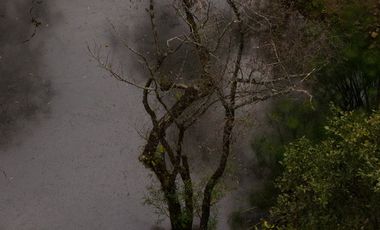 Terreno en Valle de Bravo (Acatitlán) Con Vista Al Bosque E4