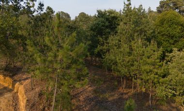 Terreno en Valle de Bravo (Acatitlán) Con Vista Al Bosque E4