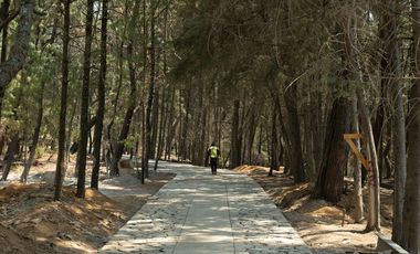 Terreno en Valle de Bravo (Acatitlán) Con Vista Al Bosque E4