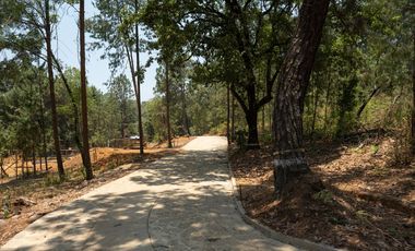 Terreno en Valle de Bravo (Acatitlán) Con Vista Al Bosque E4