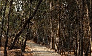 Terreno en Valle de Bravo (Acatitlán) Con Vista Al Bosque E4