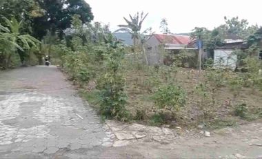 Dijual Tanah Pekarangan Siap Bangun Berjarak 50 Meter Dari Jl. Wonosari di Srimulyo Piyungan Bantul