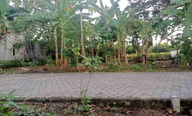 Dijual Tanah Pekarangan Siap Bangun Berjarak 50 Meter Dari Jl. Wonosari di Srimulyo Piyungan Bantul