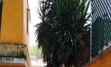 Vendo oportunidad de negocio en Coyoacan terreno con 2 casas y 2 locales