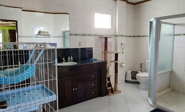 Rush sale! 504 sqm House and Lot in Trinidad Village, near SM Telabastagan