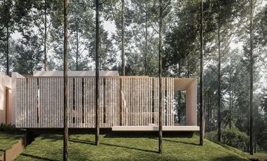 Luxury Wellness Villa Nestled within Forest in Canggu