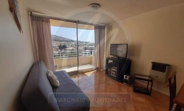 Arriendo departamento en Playa Ancha