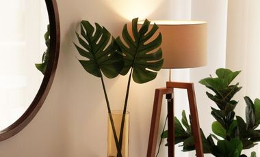 Mareazul - Maravilloso departamento en renta frente al mar.