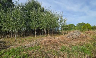 OPORTUNIDAD PARCELA EN PROGRESO CABRERO