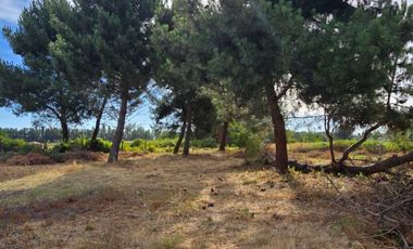 OPORTUNIDAD PARCELA EN PROGRESO CABRERO