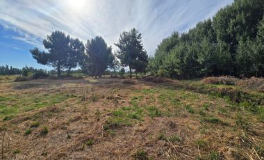 OPORTUNIDAD PARCELA EN PROGRESO CABRERO