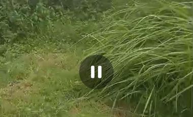 Dijual tanah dan ex gudang Jombang