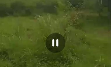 Dijual tanah dan ex gudang Jombang