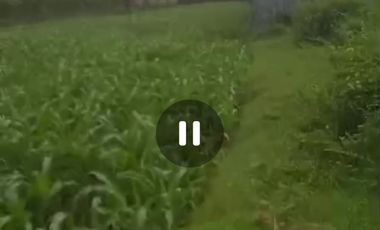 Dijual tanah dan ex gudang Jombang