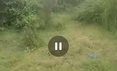 Dijual tanah dan ex gudang Jombang