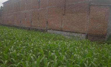 Dijual tanah dan ex gudang Jombang