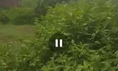 Dijual tanah dan ex gudang Jombang