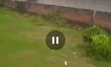 Dijual tanah dan ex gudang Jombang