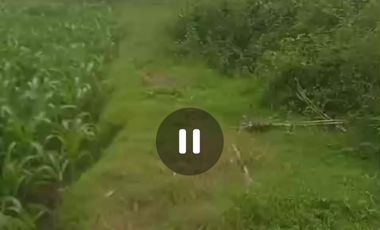 Dijual tanah dan ex gudang Jombang