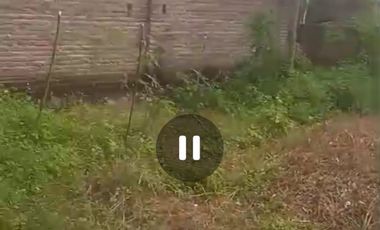 Dijual tanah dan ex gudang Jombang