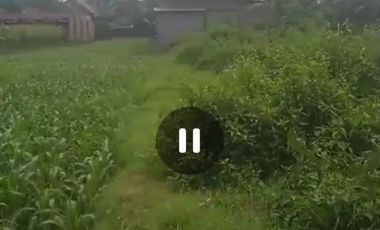 Dijual tanah dan ex gudang Jombang