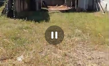 Dijual ex gudang dan tanah Perak, Jombang