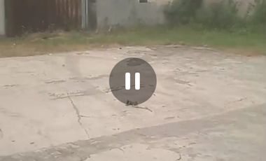 Dijual ex gudang dan tanah Perak, Jombang