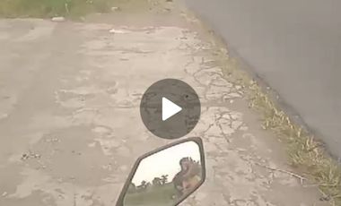 Dijual ex gudang dan tanah Perak, Jombang