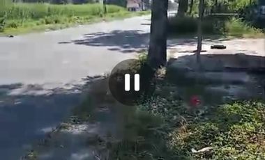 Dijual ex gudang dan tanah Perak, Jombang