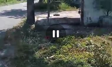 Dijual ex gudang dan tanah Perak, Jombang