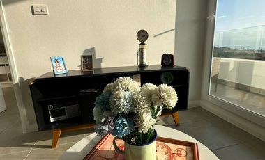 ARRIENDO DEPARTAMENTO UN DORMITORIO, UN BAÑO, LIVING COMEDOR, DE MARZO A DICIEMBRE 2026, PUERTO SERENA, LA SERENA