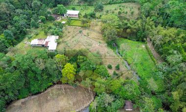 𝑸𝑼𝑰𝑵𝑻𝑨 𝑷𝑹𝑶𝑫𝑼𝑪𝑻𝑰𝑽𝑨 𝑪𝑶𝑵 𝑺𝑬𝑴𝑩𝑹𝑰́𝑶 𝑫𝑬 𝑪𝑨𝑪𝑨𝑶