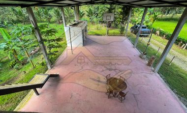 𝑸𝑼𝑰𝑵𝑻𝑨 𝑷𝑹𝑶𝑫𝑼𝑪𝑻𝑰𝑽𝑨 𝑪𝑶𝑵 𝑺𝑬𝑴𝑩𝑹𝑰́𝑶 𝑫𝑬 𝑪𝑨𝑪𝑨𝑶