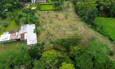 𝑸𝑼𝑰𝑵𝑻𝑨 𝑷𝑹𝑶𝑫𝑼𝑪𝑻𝑰𝑽𝑨 𝑪𝑶𝑵 𝑺𝑬𝑴𝑩𝑹𝑰́𝑶 𝑫𝑬 𝑪𝑨𝑪𝑨𝑶