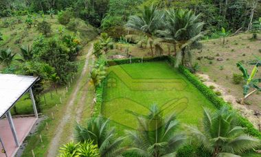 𝑸𝑼𝑰𝑵𝑻𝑨 𝑷𝑹𝑶𝑫𝑼𝑪𝑻𝑰𝑽𝑨 𝑪𝑶𝑵 𝑺𝑬𝑴𝑩𝑹𝑰́𝑶 𝑫𝑬 𝑪𝑨𝑪𝑨𝑶