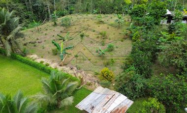 𝑸𝑼𝑰𝑵𝑻𝑨 𝑷𝑹𝑶𝑫𝑼𝑪𝑻𝑰𝑽𝑨 𝑪𝑶𝑵 𝑺𝑬𝑴𝑩𝑹𝑰́𝑶 𝑫𝑬 𝑪𝑨𝑪𝑨𝑶