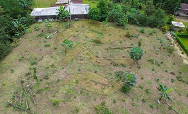 𝑸𝑼𝑰𝑵𝑻𝑨 𝑷𝑹𝑶𝑫𝑼𝑪𝑻𝑰𝑽𝑨 𝑪𝑶𝑵 𝑺𝑬𝑴𝑩𝑹𝑰́𝑶 𝑫𝑬 𝑪𝑨𝑪𝑨𝑶