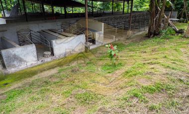 𝑸𝑼𝑰𝑵𝑻𝑨 𝑷𝑹𝑶𝑫𝑼𝑪𝑻𝑰𝑽𝑨 𝑪𝑶𝑵 𝑺𝑬𝑴𝑩𝑹𝑰́𝑶 𝑫𝑬 𝑪𝑨𝑪𝑨𝑶