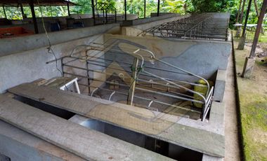 𝑸𝑼𝑰𝑵𝑻𝑨 𝑷𝑹𝑶𝑫𝑼𝑪𝑻𝑰𝑽𝑨 𝑪𝑶𝑵 𝑺𝑬𝑴𝑩𝑹𝑰́𝑶 𝑫𝑬 𝑪𝑨𝑪𝑨𝑶