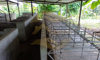 𝑸𝑼𝑰𝑵𝑻𝑨 𝑷𝑹𝑶𝑫𝑼𝑪𝑻𝑰𝑽𝑨 𝑪𝑶𝑵 𝑺𝑬𝑴𝑩𝑹𝑰́𝑶 𝑫𝑬 𝑪𝑨𝑪𝑨𝑶