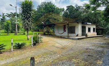 𝑸𝑼𝑰𝑵𝑻𝑨 𝑷𝑹𝑶𝑫𝑼𝑪𝑻𝑰𝑽𝑨 𝑪𝑶𝑵 𝑺𝑬𝑴𝑩𝑹𝑰́𝑶 𝑫𝑬 𝑪𝑨𝑪𝑨𝑶