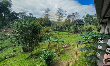 𝑸𝑼𝑰𝑵𝑻𝑨 𝑷𝑹𝑶𝑫𝑼𝑪𝑻𝑰𝑽𝑨 𝑪𝑶𝑵 𝑺𝑬𝑴𝑩𝑹𝑰́𝑶 𝑫𝑬 𝑪𝑨𝑪𝑨𝑶