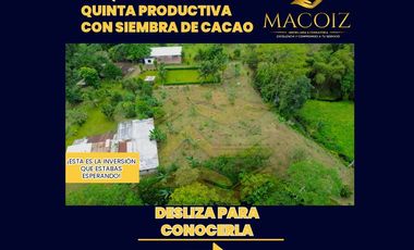 𝑸𝑼𝑰𝑵𝑻𝑨 𝑷𝑹𝑶𝑫𝑼𝑪𝑻𝑰𝑽𝑨 𝑪𝑶𝑵 𝑺𝑬𝑴𝑩𝑹𝑰́𝑶 𝑫𝑬 𝑪𝑨𝑪𝑨𝑶